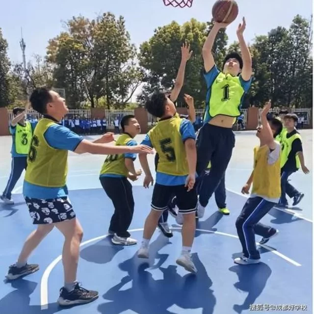体育新闻热点追踪背后的数据揭秘
